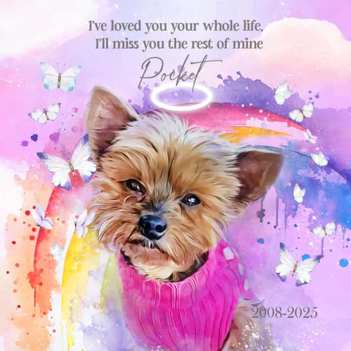 Customer photo review of Watercolor Pet Art - Rainbow Bridge (RB)