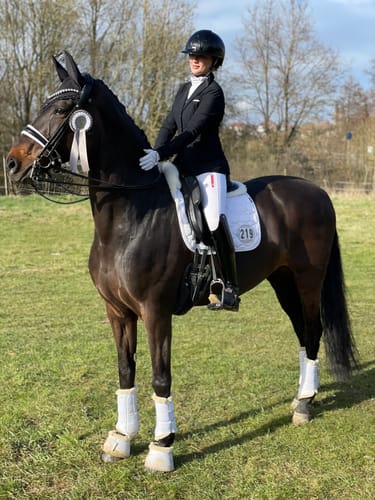 Customer photo review of Strotonin Horse Support