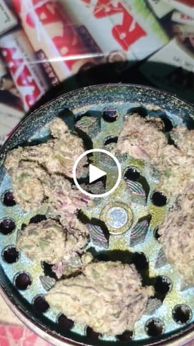 Customer video review of Dank Burger Greenhouse THCA