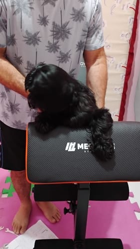 Customer photo review of Banco 10x1 P/ Supino Com Rosca Scott Cadeira Extensora Laranja