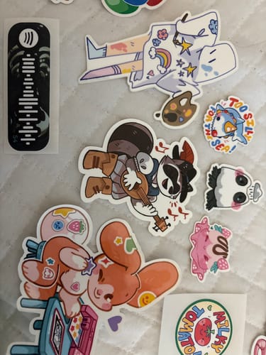 Customer photo review of D&D Raccoon Stickers!