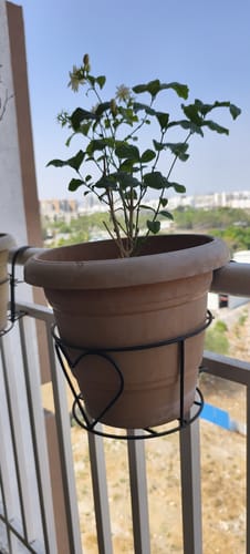 Customer photo review of UnitedCrafts Heart Railings Stands for Balcony & Home Decoration