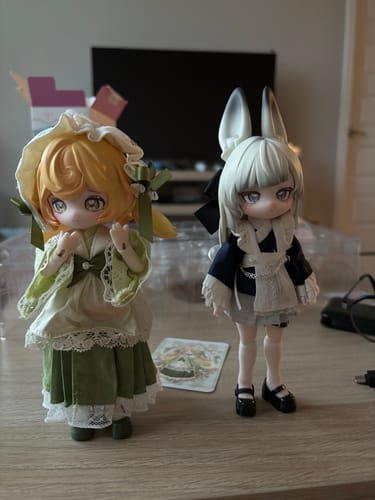 Customer photo review of Moon Jumping Time Bunny Series 1/12 Action Figure BJD Blind Box
