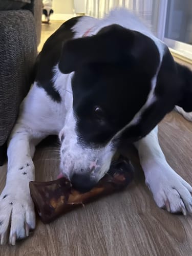 Customer photo review of Large Dog Black Friday Bundle II (4x 5oz Jerky Bags + 4x LARGE Smoked Marrow Bones)