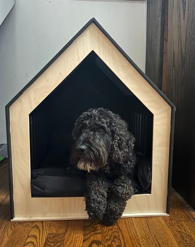 Customer photo review of Large Indoor Dog House