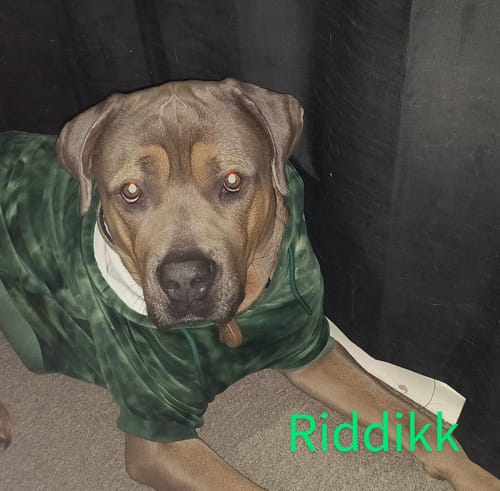Customer photo review of Velvet Human Hoodie - Emerald Green