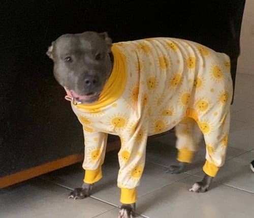 Customer photo review of Dog Pajama - Sunshine
