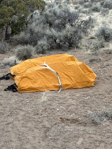 Customer photo review of The Barrier Mat