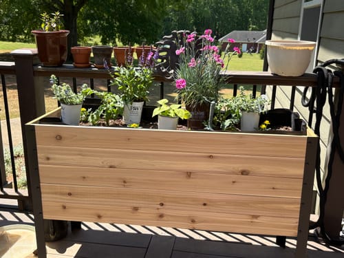 Customer photo review of 18" x 48" Raised Garden Bed - 30" TALL