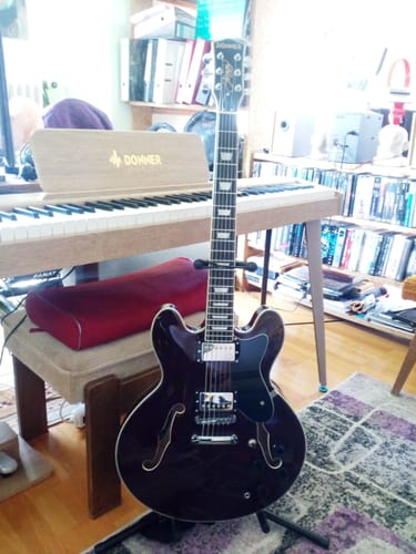 Customer photo review of Donner DJP-1000 Jazz-E-Gitarre