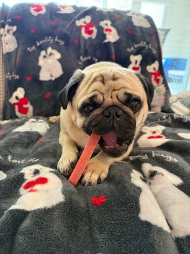 Customer photo review of Strawberry Yak Chews