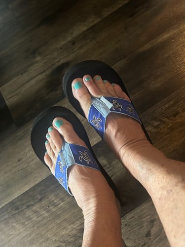 Customer photo review of Ocean Legends Turtles