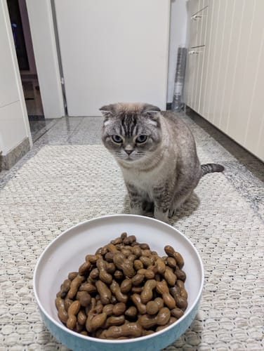 Customer photo review of Boil-The-Bag Boiled Peanuts - (6 Bags)
