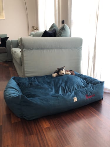 Customer photo review of Divanetto Velluto Ottanio