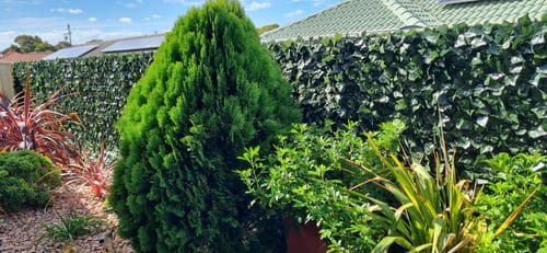 Customer photo review of Fake Ivy Roll Artificial Hedge Panel Roll with Shade Cloth Backing 3m x 1m for Instant privacy