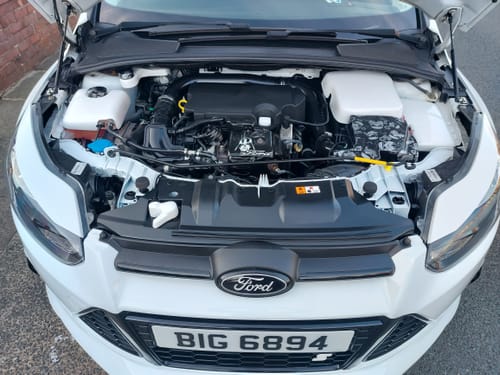 Customer photo review of Proform Bonnet Catch Cover 001