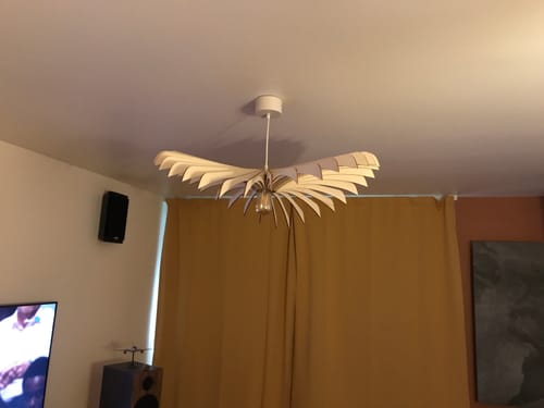 Customer photo review of Aigle | Suspension