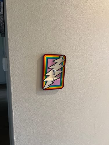 Customer photo review of Stealie Standard Light Switch Cover