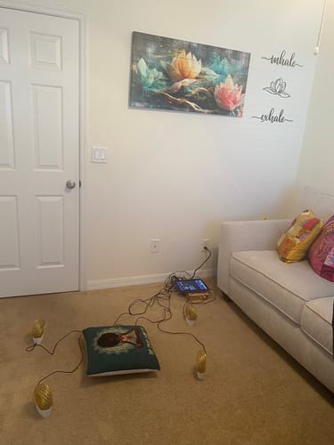 Karen S. review of Qi Coil™ Max Rife Scalar System with Resonant Console 2 image 1 out of 1