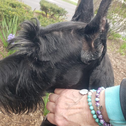 Customer photo review of BEADED – “CHANGES IN LATITUDES, CHANGES IN ATTITUDES”