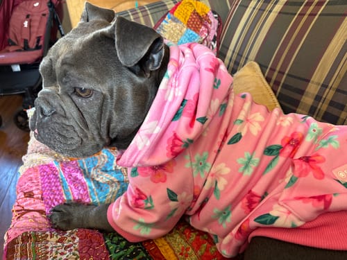 Customer photo review of Blossom Dog Hoodie - Pink