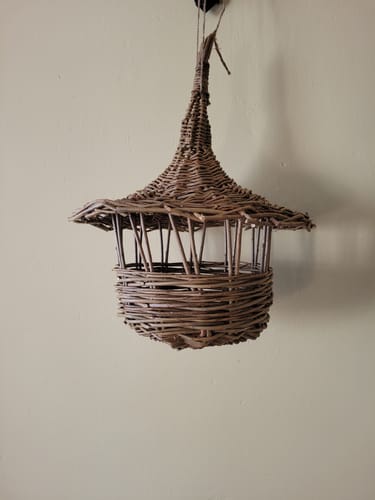 Customer photo review of The Bird Feeder - Online Course and Kit