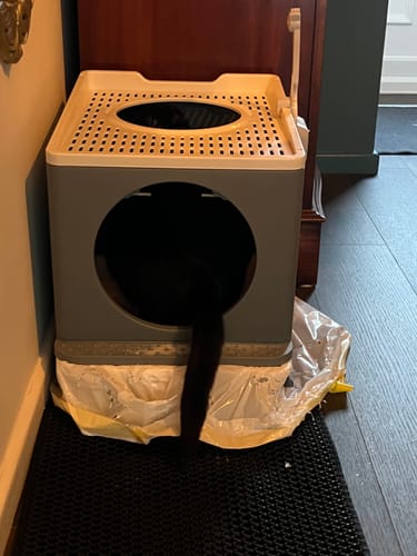 Customer photo review of 3 Month Supply - 1 Cat