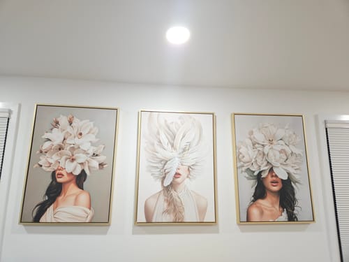 Customer photo review of Plumage Set of 3 Prints