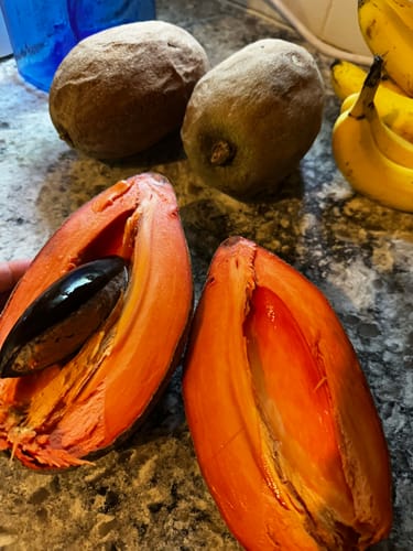 Customer photo review of Mamey