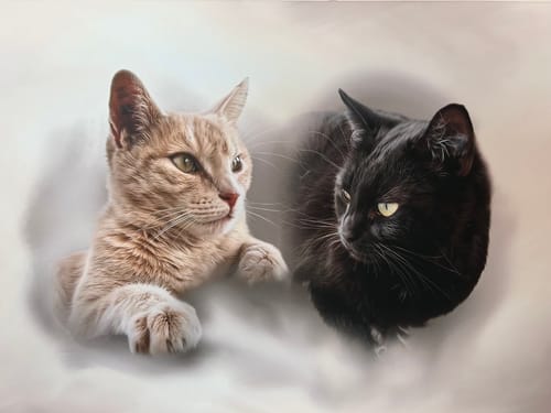 Customer photo review of Öl Pawtrait