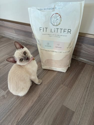 Customer photo review of 1 Month Supply – 1 Cat