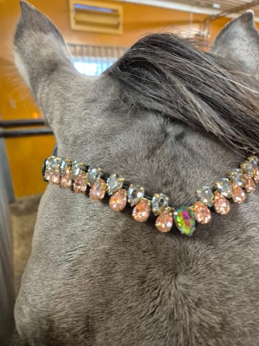 Customer photo review of Aurora browband