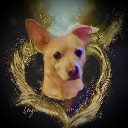 Customer photo review of The Golden Glow (GF)