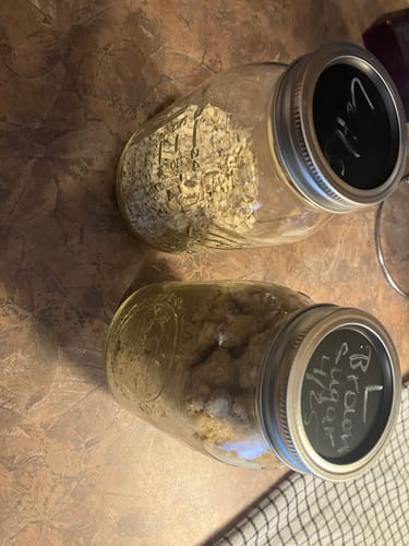 undefined review of Chalkboard Top Mason Jar Lids (Regular - 12 set) image 1 out of 1