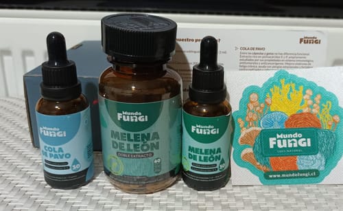 Customer photo review of Melena de León Cápsulas + Gotas - Extracto Ultra Concentrado