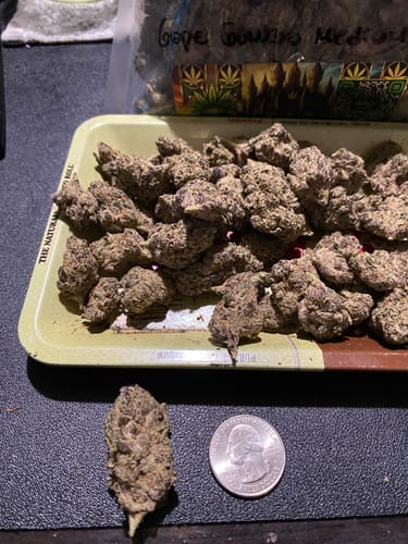 Customer photo review of Tangerine Dreams Light Assist THCA