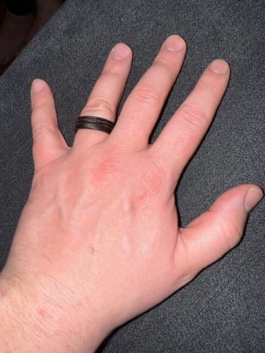 Customer photo review of The Meteorsaur