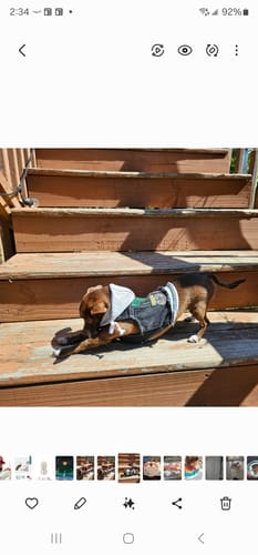 Customer photo review of Black Rocker Hoodie - GREEN DAY