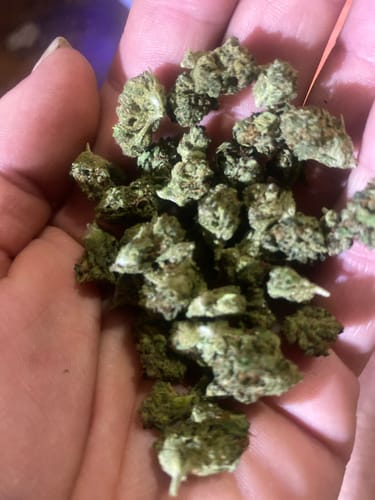 Customer photo review of Candy Gas THCA Flower