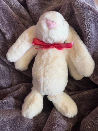 Customer photo review of Bunny Plush Toys