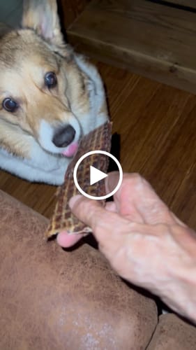 Customer video review of Beef Gullet Jerky Strips