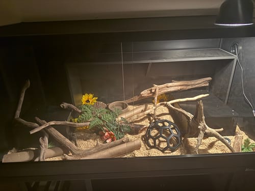 Customer photo review of Removable Cage Shelving