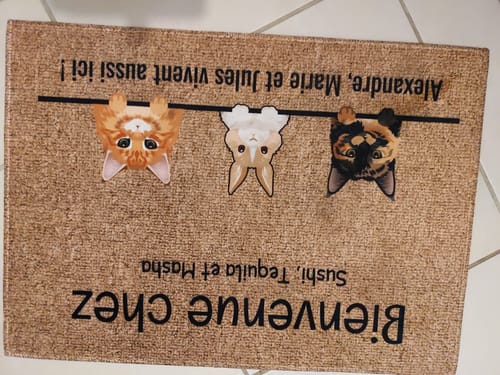 Customer photo review of Tous mes amis à poils - Paillasson personnalisé