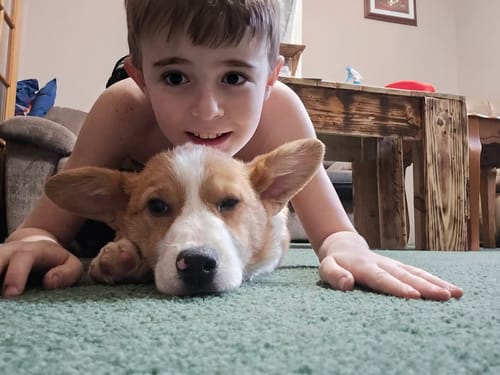 Customer photo review of FurLife™ 8 Months Flea and Tick Free