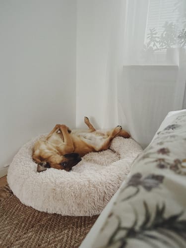 Customer photo review of CalmBed - Motverkar stress & hjälper mot ångest