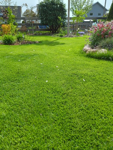 Customer photo review of Animatio® Profi-Rasendünger