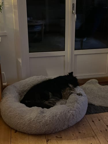 Customer photo review of CalmBed - Motverkar stress & hjälper mot ångest