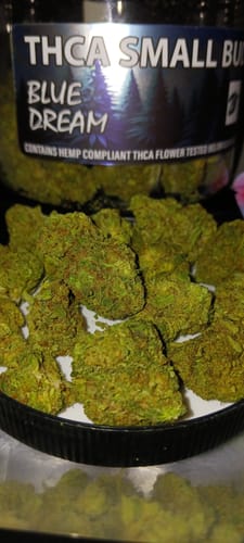 Customer photo review of Blue Dream THCA Flower