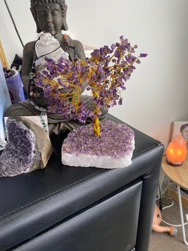 Customer photo review of Amethyst Large Crystal Tree
