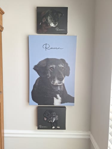Customer photo review of Pet Art Canvas Wrap